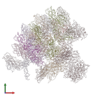 PDB entry 2cse coloured by chain, front view.