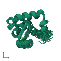 PDB entry 2ctn coloured by chain, ensemble of 30 models, front view.