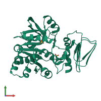 PDB entry 2cu2 coloured by chain, front view.