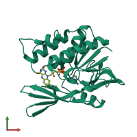 PDB entry 2cul coloured by chain, front view.