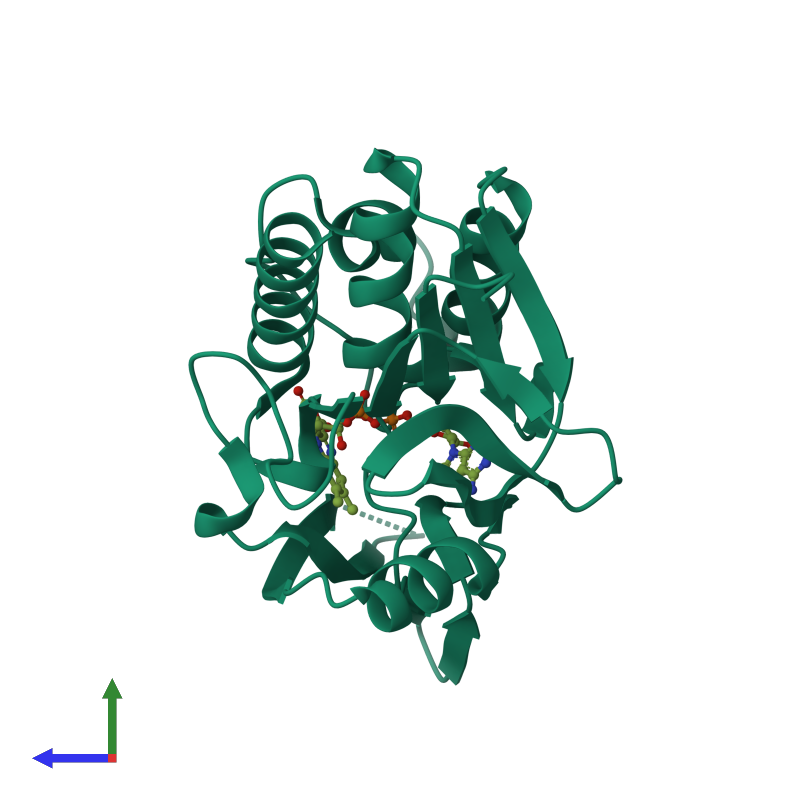 <div class='caption-body'><ul class ='image_legend_ul'>The deposited structure of PDB entry 2cul coloured by chemically distinct molecules and viewed from the side. The entry contains: <li class ='image_legend_li'>1 copy of Glucose-inhibited division protein A-related protein, probable oxidoreductase</li><li class ='image_legend_li'>[]<ul class ='image_legend_ul'><li class ='image_legend_li'>1 copy of FLAVIN-ADENINE DINUCLEOTIDE</li></ul></li></div>