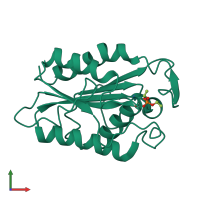 PDB entry 2cut coloured by chain, front view.