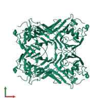 Concanavalin-Ma in PDB entry 2cwm, assembly 1, front view.