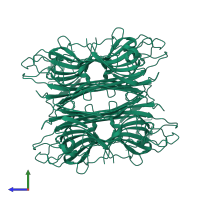 Concanavalin-Ma in PDB entry 2cwm, assembly 1, side view.