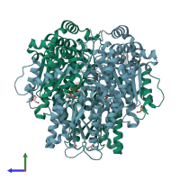 PDB entry 2cxo coloured by chain, side view.