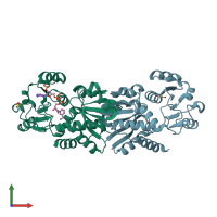 PDB entry 2cy0 coloured by chain, front view.