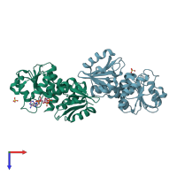 PDB entry 2cy0 coloured by chain, top view.