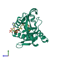 PDB entry 2cy2 coloured by chain, side view.