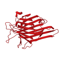 The deposited structure of PDB entry 2cy6 contains 2 copies of CATH domain 2.60.120.200 (Jelly Rolls) in Concanavalin-A. Showing 1 copy in chain A.