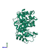 PDB entry 2cyg coloured by chain, side view.