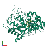 PDB entry 2cyp coloured by chain, front view.