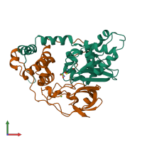 PDB entry 2cyz coloured by chain, front view.