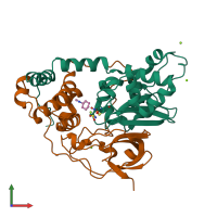 PDB entry 2cz6 coloured by chain, front view.