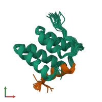 PDB entry 2czy coloured by chain, ensemble of 20 models, front view.