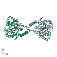 PDB entry 2d06 coloured by chain, front view.
