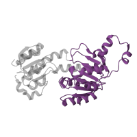 The deposited structure of PDB entry 2d0i contains 4 copies of Pfam domain PF02826 (D-isomer specific 2-hydroxyacid dehydrogenase, NAD binding domain) in 333aa long hypothetical dehydrogenase. Showing 1 copy in chain A.