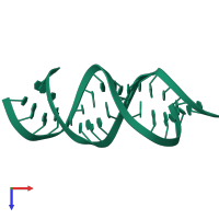 5'-R(*GP*CP*UP*GP*AP*AP*GP*UP*GP*CP*AP*CP*AP*CP*GP*GP*C)-3' in PDB entry 2d18, assembly 1, top view.