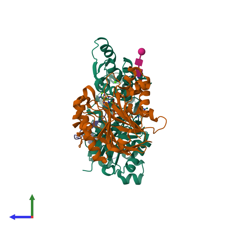<div class='caption-body'><ul class ='image_legend_ul'>The deposited structure of PDB entry 2d1k coloured by chain and viewed from the side. The entry contains: <li class ='image_legend_li'>1 copy of Actin, alpha skeletal muscle</li> <li class ='image_legend_li'>1 copy of Deoxyribonuclease-1</li> <li class ='image_legend_li'>1 copy of Metastasis suppressor protein 1</li><li class ='image_legend_li'>[]<ul class ='image_legend_ul'><li class ='image_legend_li'>1 copy of beta-D-mannopyranose-(1-4)-2-acetamido-2-deoxy-beta-D-glucopyranose-(1-4)-2-acetamido-2-deoxy-beta-D-glucopyranose</li> <li class ='image_legend_li'>2 copies of CALCIUM ION</li> <li class ='image_legend_li'>1 copy of ADENOSINE-5'-TRIPHOSPHATE</li> <li class ='image_legend_li'>1 copy of MAGNESIUM ION</li></ul></li></div>