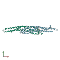 PDB entry 2d1l coloured by chain, front view.