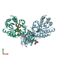 PDB entry 2d24 coloured by chain, front view.