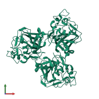 Ficolin-1 in PDB entry 2d39, assembly 1, front view.