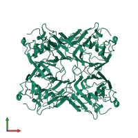 Homo tetrameric assembly 1 of PDB entry 2d3p coloured by chemically distinct molecules, front view.