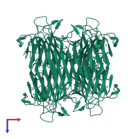 Homo tetrameric assembly 1 of PDB entry 2d3p coloured by chemically distinct molecules, top view.