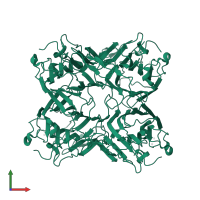 Lectin alpha chain in PDB entry 2d3p, assembly 1, front view.