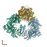 PDB entry 2d3t coloured by chain, front view.