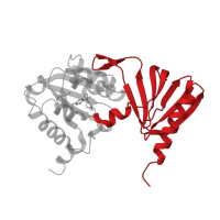 The deposited structure of PDB entry 2d4q contains 2 copies of CATH domain 2.30.29.30 (PH-domain like) in Neurofibromin. Showing 1 copy in chain A.