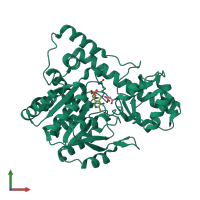 PDB entry 2d61 coloured by chain, front view.