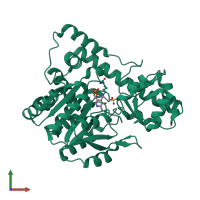 PDB entry 2d66 coloured by chain, front view.