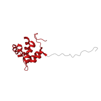 The deposited structure of PDB entry 2d96 contains 1 copy of CATH domain 1.10.533.10 (Death Domain, Fas) in Nuclear factor NF-kappa-B p100 subunit. Showing 1 copy in chain A.