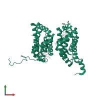 Cytoglobin in PDB entry 2dc3, assembly 1, front view.