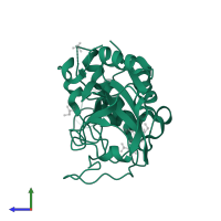 Cathepsin B in PDB entry 2dc8, assembly 1, side view.