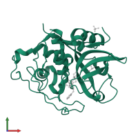 Cathepsin B in PDB entry 2dcc, assembly 1, front view.