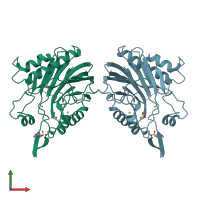 PDB entry 2ddt coloured by chain, front view.