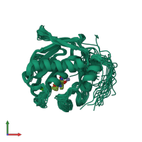 PDB entry 2ddy coloured by chain, ensemble of 25 models, front view.