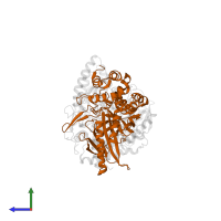 Aspartyl/glutamyl-tRNA(Asn/Gln) amidotransferase subunit B in PDB entry 2df4, assembly 1, side view.