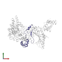 Aspartyl/glutamyl-tRNA(Asn/Gln) amidotransferase subunit C in PDB entry 2df4, assembly 1, front view.