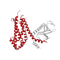 The deposited structure of PDB entry 2dfk contains 2 copies of CATH domain 1.20.900.10 (Dbl Homology Domain; Chain A) in Rho guanine nucleotide exchange factor 9. Showing 1 copy in chain A.