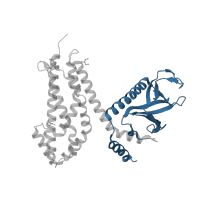 The deposited structure of PDB entry 2dfk contains 2 copies of CATH domain 2.30.29.30 (PH-domain like) in Rho guanine nucleotide exchange factor 9. Showing 1 copy in chain A.