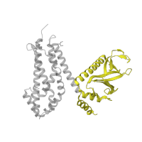 The deposited structure of PDB entry 2dfk contains 1 copy of SCOP domain 50730 (Pleckstrin-homology domain (PH domain)) in Rho guanine nucleotide exchange factor 9. Showing 1 copy in chain A.