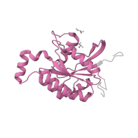 The deposited structure of PDB entry 2dfk contains 2 copies of Pfam domain PF00071 (Ras family) in Cell division control protein 42 homolog. Showing 1 copy in chain D.