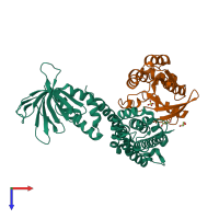 Hetero dimeric assembly 2 of PDB entry 2dfk coloured by chemically distinct molecules, top view.