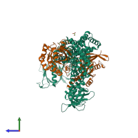 Hetero tetrameric assembly 3 of PDB entry 2dfk coloured by chemically distinct molecules, side view.