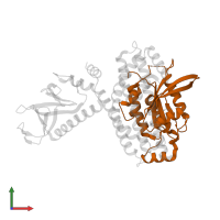 Cell division control protein 42 homolog in PDB entry 2dfk, assembly 2, front view.