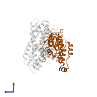 Cell division control protein 42 homolog in PDB entry 2dfk, assembly 2, side view.