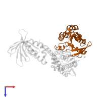 Cell division control protein 42 homolog in PDB entry 2dfk, assembly 2, top view.