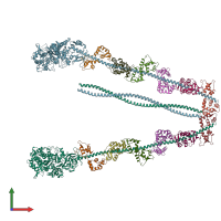 PDB entry 2dfs coloured by chain, front view.